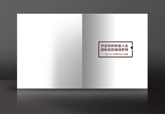 畫冊設(shè)計，標(biāo)志設(shè)計，VI設(shè)計，交互設(shè)計，包裝設(shè)計，空間導(dǎo)示，數(shù)志視頻，廣告創(chuàng)意設(shè)計，博納設(shè)計