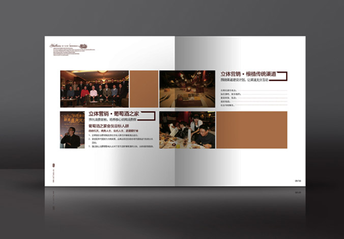畫冊設(shè)計，標(biāo)志設(shè)計，VI設(shè)計，交互設(shè)計，包裝設(shè)計，空間導(dǎo)示，數(shù)志視頻，廣告創(chuàng)意設(shè)計，博納設(shè)計