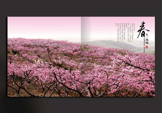 畫冊設計，標志設計，VI設計，交互設計，包裝設計，空間導示，數志視頻，廣告創(chuàng)意設計，博納設計