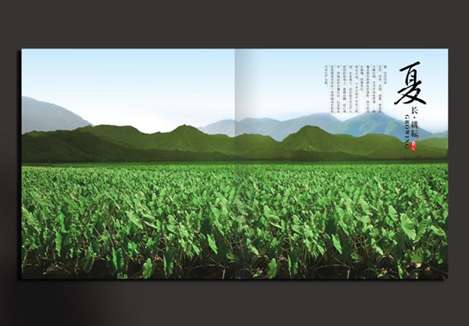 畫冊設計，標志設計，VI設計，交互設計，包裝設計，空間導示，數志視頻，廣告創(chuàng)意設計，博納設計
