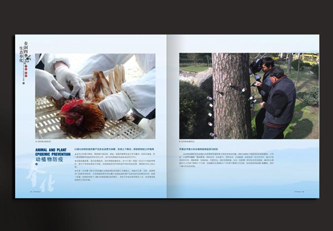 畫冊設計，標志設計，VI設計，交互設計，包裝設計，空間導示，數志視頻，廣告創(chuàng)意設計，博納設計